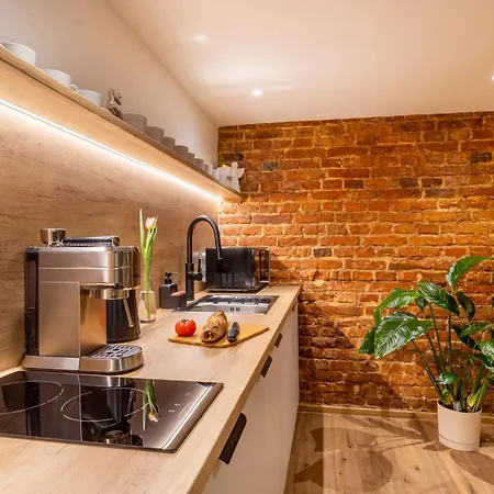 Designer Old Town Loft For 9 Ac Appartamento *